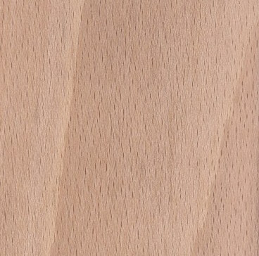 Beech